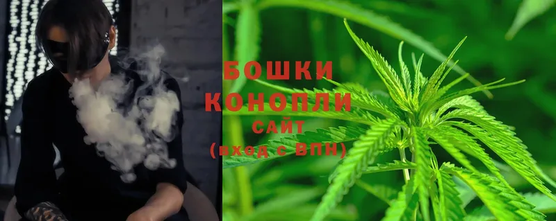 МАРИХУАНА White Widow  Багратионовск 